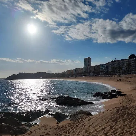 Zodiac Ab 5d Apartment *